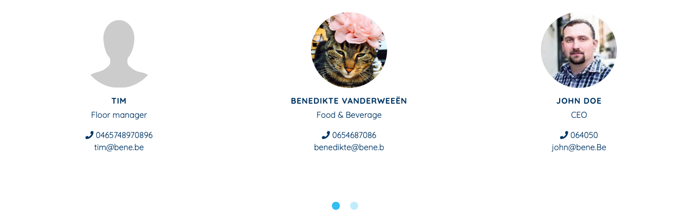 team-blok op de site